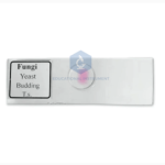 Fungi Yeast Budding Slide